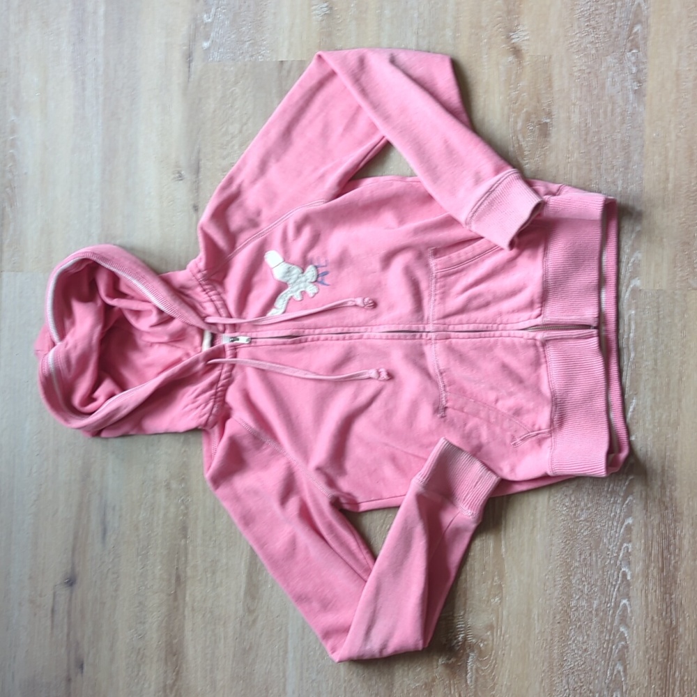 American Eagle Zip Up Sweatshirt
